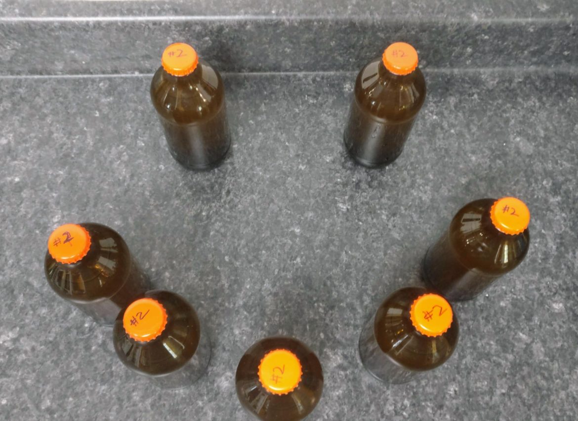 Mead #2 – All bottled up